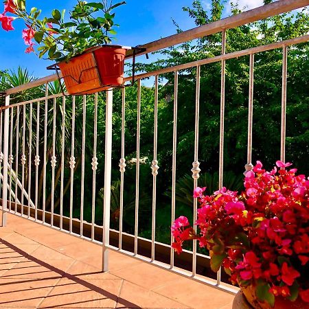 Villa Il Ciliegio Stella Cilento Esterno foto