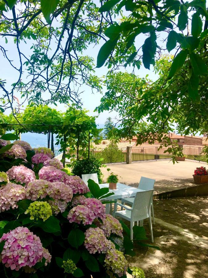 Villa Il Ciliegio Stella Cilento Esterno foto