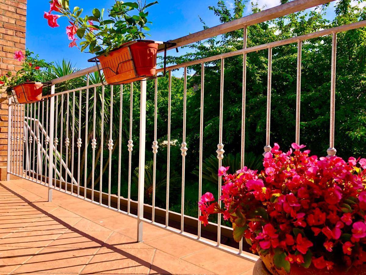Villa Il Ciliegio Stella Cilento Esterno foto