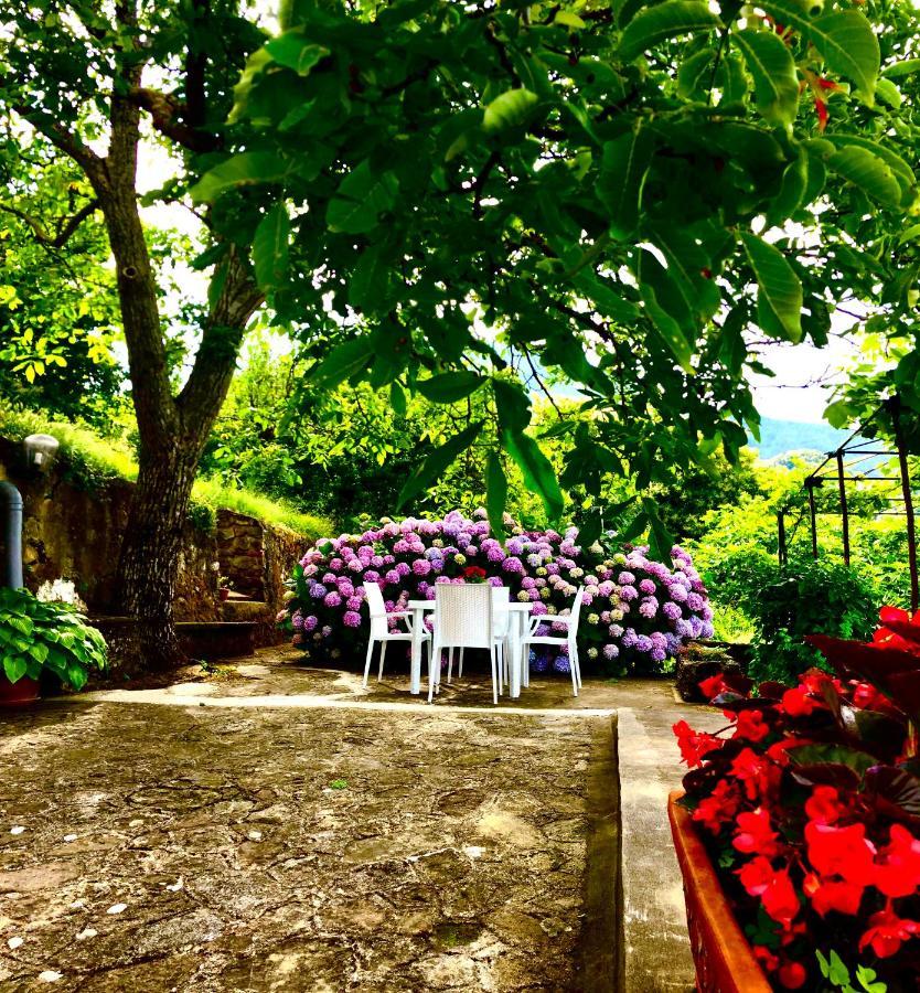 Villa Il Ciliegio Stella Cilento Esterno foto
